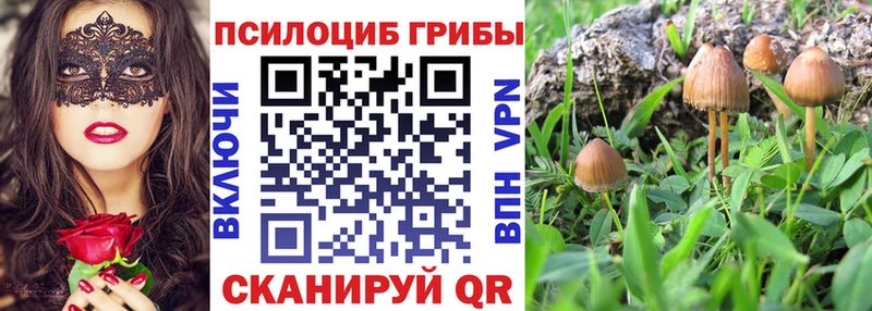 Псилоцибиновые грибы мицелий  Новосиль 