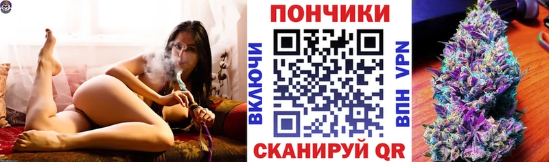Бошки Шишки конопля  продажа наркотиков  Новосиль 